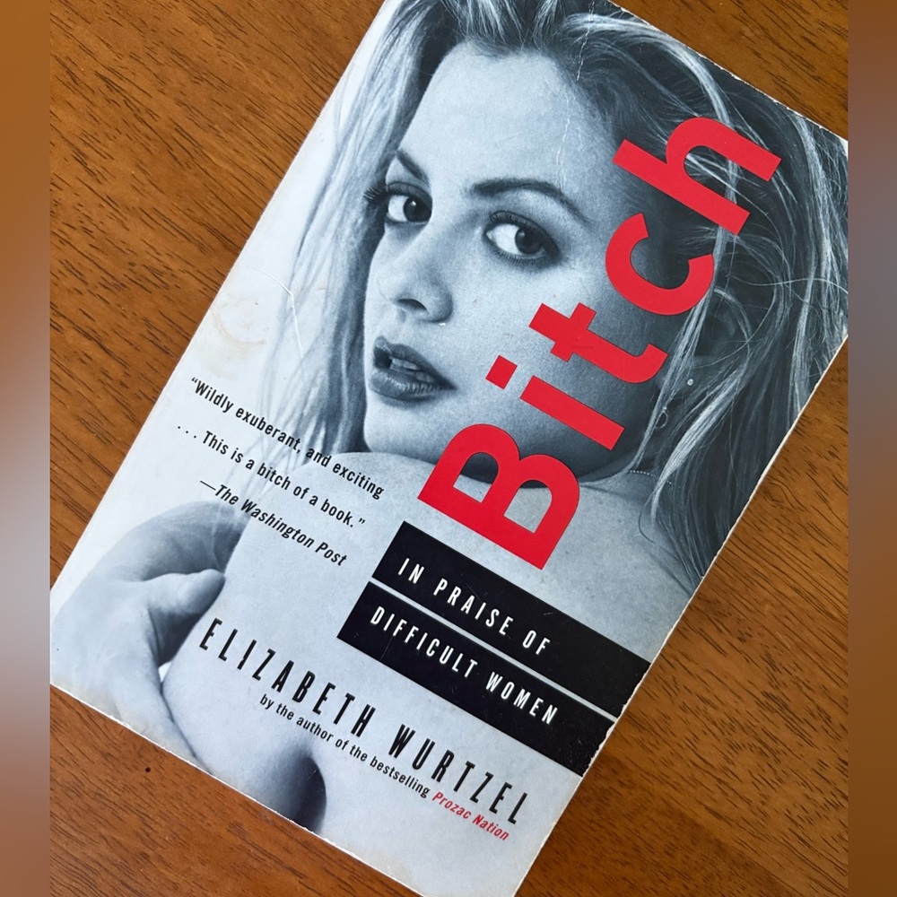 B***h by Elizabeth Wurtzel Book